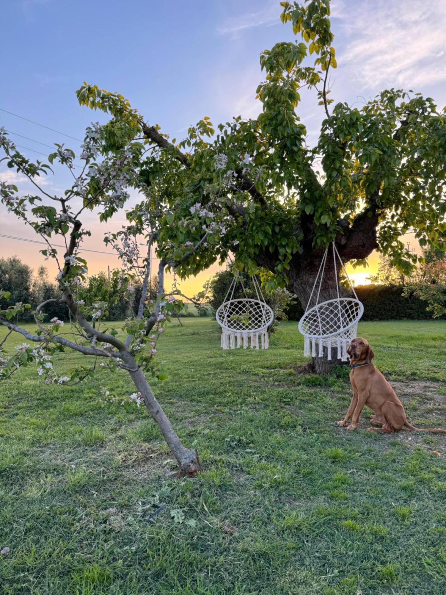Agriturismo Le Grange Numana Buitenkant foto